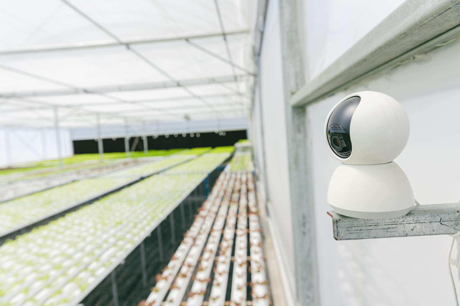 closeup digital camera agriculture farm indoor CCTV monitor and web cam industry security ,smart farming system device.